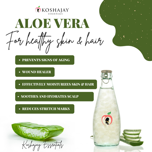 Why You Need Aloe Vera in Your Skincare and Hair Routine (It’s Not Just for Sunburns!)