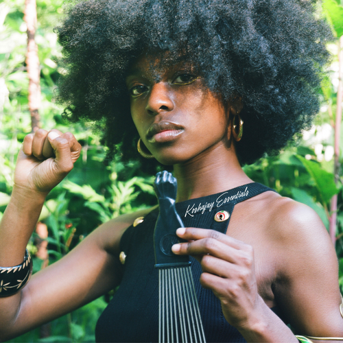 The History of the Afro Comb: A Symbol of Pride and Heritage 🪮