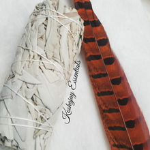 Load image into Gallery viewer, 💨 Sacred Sage Smudge Sticks
