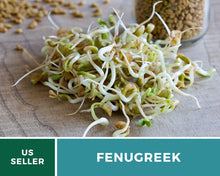 Load image into Gallery viewer, 🌾 Organic Fenugreek (Methi) Seeds/Powder
