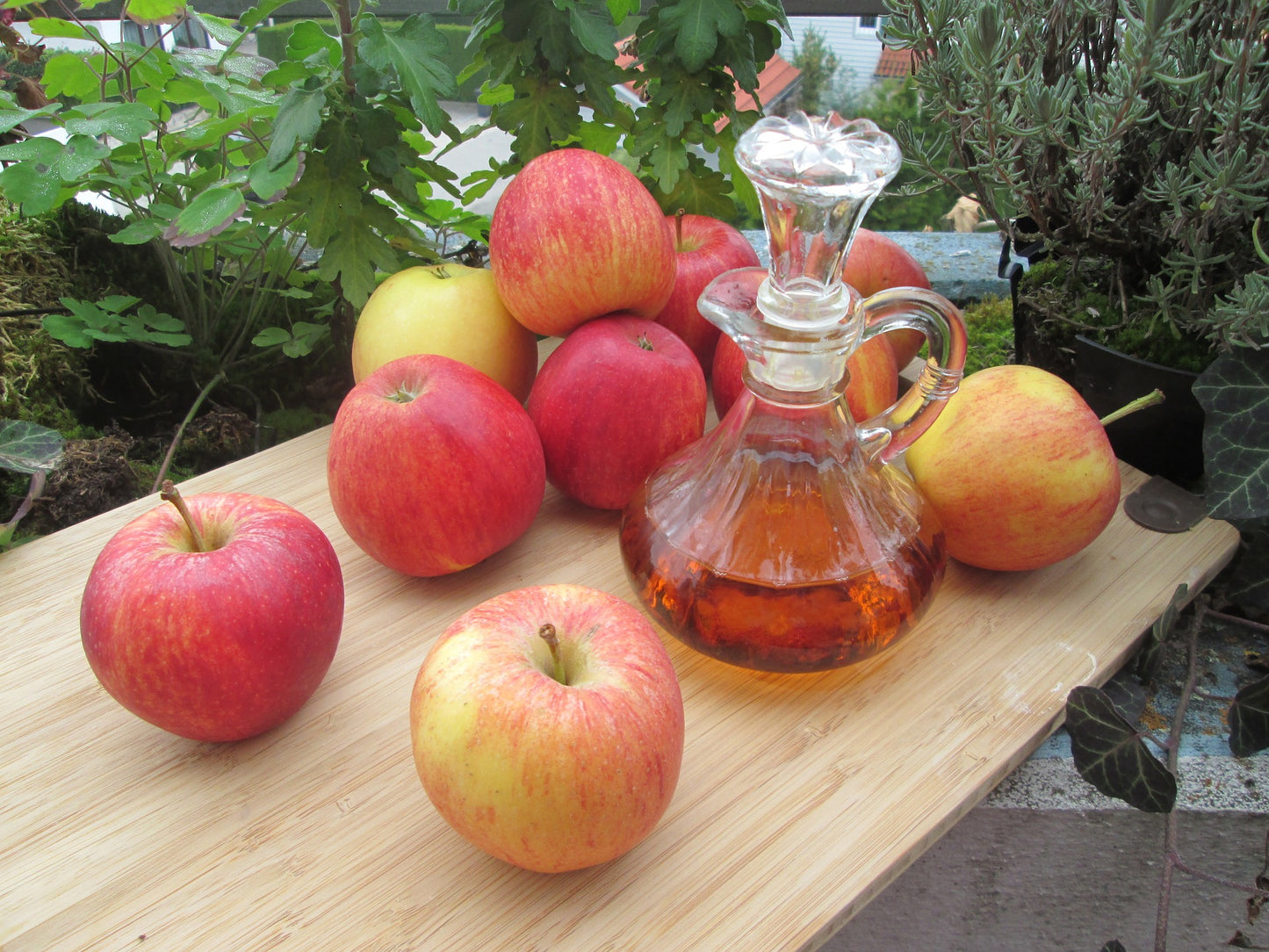 ACV (Apple Cider Vinegar) & KIWI Scalp Soothing Serum 2 oz.