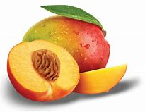 Load image into Gallery viewer, 🍑Persian Apple &amp; Mango Hair &amp; Body Butter (8 oz)
